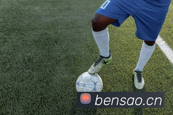 华体官网登录app服务体系